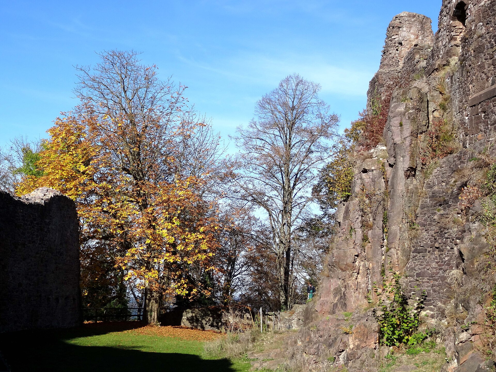 Abb. 1: Hohengeroldseck auf dem Schlossberg (524 m ü. NHN) mit Blickachse über das Schuttertal.